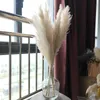 Ghirlande di fiori decorativi Ghirlande di pampas bianche naturali Erba nuziale Doccia autunnale Decorazioni per la casa Collezione di centrotavola da tavola Set Bouquet da sposa Boho