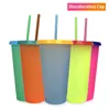 710ML Thermochromic Cup Plastic Color Change Mug Candy Colors Reusable Drinking Tumblers with Lid and Straw LLFA 1562 T2