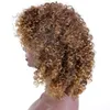 14 inches long Curly afro Curly Wigs for Black Women Blonde Wigs Synthetic Hair Mixed African Brownfactory direct