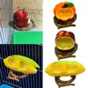 Diğer Kuş Malzemeleri H051 Komik Meyve Şeklinde Kuşlar Besleyici Kase Papaz Pet Pet Dispenser Su Besleme Konteyneri Küçük Hayvan İçme Yem C