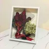Suszony kwiat 3D Ramki DIY Insekt Próbka Dispaly Classroom Study Dekoracje Pusta Rama Nowoczesna Prosta 211222