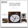 Inch 5 Solid Wood Blade Wooden Ceiling Fans Vintage DC Fan Decor With Remote Control Home Loft 220v