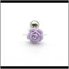 Entrega de j￳ias Drop 2021 Rose Flower Ear Brincos para mulheres Simples fofos garotas judeu Jewley Candy Wholesale 316L A￧o inoxid￡vel Brincos Trag