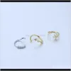 Anéis Studs Body Human Jewelry Bone Piercing Nail Set Color Prerving Elempoplated Plum Blossom Zircon Nariz Ring K2X0S XYHWJ