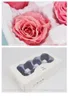 8pcs/box High Quality Preserved Flowers Flower Valentines Immortal Rose 5cm Diameter Eternal Life Flower Mothers Day Gift RRE12011