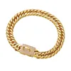 Diamant Golden Pet Chain Halsband 16mm Breda Rostfritt Stål Hundkrafter Doberman Bulldog Pug Puppy Tillbehör