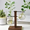 terrarium de table
