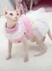 고양이 의상 스핑크스 여름 얇은 레이스 공주 드레스 애완 동물 스커트 귀여운 고양이 키티 드레스