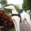 犬の襟のleashes反射ハーネスソフトメッシュパッド入りのペットベスト小さな中小犬のためのハンドル調節可能な胸部ストラップ