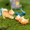 شخصيات مناظر طبيعية نفسية الحيوان زينة الكلب الأصفر الصغير مصغرة akita الكلب لعبة حديقة بونساي الصبار الأثاث النضول GGA2012