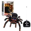 Taverote Infrared Remote Control Whole Evil Spider Children Electric Animal Toys 781リモートコントロール3466508の四方のリモートコントロール