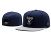 2021New Snapback Hats Baseball Cap för män Kvinnor Cayler och söner Snapbacks Sports Fashion Caps Designhatt