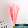 15.PCs artificiella pampas gräs torkade pampas blommor gräs hem bröllop konstnärliga blommor buntkransar vit / rosa fabrik pris expert design kvalitet senast