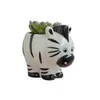 6 PZ / Set Nordic Ceramica Cartoon Animal Mini Flower Pot Home Decor Accondenti Piante Bonsai Pianta Vaso Vaso Decorazione Accessori 210615