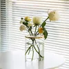 Nordic прозрачный стеклянный ваза Goldic Cover Cover живущая комната цветочная композиция IKEBANA украшения настольные гидропонные установки инструмент 210409