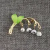 Pins broches aankomsten broche orchidee plant bloem vintage groene bijouterie corsage jurk jas accessoires sieraden cadeau roya22