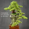 Dekorative Blumenkränze im chinesischen Stil, Gastgruß, Kiefernholz, künstliche Pflanze, Heimdekoration, Zubehör, Zen-Garten, Bonsai, Schreibtisch