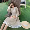 Frauen Chiffon Kleid Frühling Sommer Mode Weibliche Langarm Gedruckt Casual Spitze Kleider Elegante A-linie Vestidos 210423