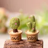 Nieuwigheid Items Cartoon Ornamenten Simulatie Succulents Mini Pot Bonsai Woonkamer Bureau Fake Green Plant Decoratie