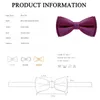 Hohe Qualität Luxus Hochzeit Party Kleid Fliege Für Männer Designer Marke Schmetterling Bowtie Seide Polyester Zwei Schicht Mit Geschenk box