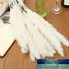 15Pcs Artificial Pampas Grass Dried Pampas Flowers Grasses Home Wedding Artistic Flowers Bundle Wreaths White/Pink Factory price expert design Quality Latest