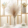 Decorative Flowers & Wreaths 10pcs Sechee Plantas Flores Artificiales Para Decoracion Fleur De Pampas Grass Dried Decorativas Salo3335