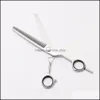 Salon de coiffure soins outils de coiffage produits 5 5.5 6 7 Logo personnalisé professionnel coiffure humaine cisailles amincissantes C1021 Dr