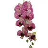 4P Latex Butterfly Orchid Flores 9 Cabeças Real Touch Boa Qualidade Artificial Phalaenopsis Orchid 40 "Para Casa Decoração Floral 210624