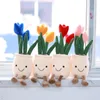 Woninginrichting Decoratie Woonkamer Creatieve Simulatie Glimlachen Gezicht Vlees Pluche Speelgoed Tulip Boeket Groene Plant Versiering Grijp Machine Ragdoll