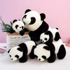 Fidget leksaker plysch leksak baby panda kawaii fylld docka högkvalitativ tredimensionell pp bomull kort plyschs julklapp söt djur öppna lådan överraskning grossist