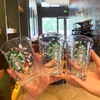 414ml Starbucks Copa 25o urso do aniversário canecas Abra a caneca do parque de diversões de vidro aberto