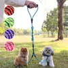 Laisse de chien un sur deux harnais multicolore en Nylon Durable accessoires de corde de Traction à rayures réfléchissantes pour animaux de compagnie petits colliers laisses