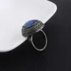 Game Dark Souls Series Mannen Ringen Havel039s Demon039s Litteken Chloranthy Badge Metalen Ring Mannelijke Fans Cosplay Sieraden Accessoires 7350682254933