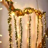 Party Decoration 3M * 1m 300 Lights Rattan Style Gordains Icicle Copper Creatieve Achtergrond USB Afstandsbediening voor Home Decor