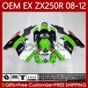 Einspritzkörper für KAWASAKI NINJA EX250 EX-250 ZX250 R EX ZX 250R 08 09 10 11 12 81No.48 EX250R ZX-250R 2008-2012 ZX250R 2008 2009 2010 2011 2012 OEM-Verkleidung glänzend grün