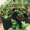 Sacs de culture portables Plantes de jardin Croissance Pots de semis de semis aération respectueuse de l'agriculture en serre outils de légumes1588630