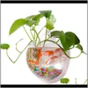 Mount Fish Tank Wallhanging Bowl Decoration Planter Pet Supplies Acrylic Aquarium Beautiful Durable Wall Mounted Lwnyj Jbwap