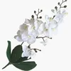 Jarrown Artificial Real Touch Látex Borboleta Orquídea Flores 3 Filial 15 Cabeça Folha Folha Falsa Flor Decoração Casa Decorações 210624