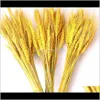 Dekorativa Kransar Festliga Party Supplies Hem GardenNatural Tassels Torkad Blommor Korg Barley Garden Decoration Arrangemang Flower Shop