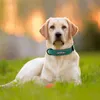 Hundkragar Personliga Skräddarsydda Läder Hundkrage Namn ID Taggar för Små Medium Stora hundar Pitbull Bulldog Beagle Correa Perro