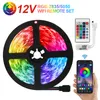 Strisce LED RGB Strisce luminose Bluetooth WiFi Luces Luce per camera SMD2835 Flessibile nastro impermeabile Diodo Telecomando Strisce LEDLED