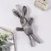Wishing Rabbit Doll Web Celebrity Douyin z wiecznym bukietem Breloczek wisiorek Pudełko Pluszowe Akcesoria