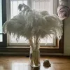 20 Stems White Color Wedding Use Flower Bunch Real Dried Pampas Grass Bouquet Natural Plants Home Decor