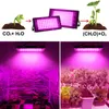 Full Spectrum LED Lead Grow Light for Indoor Plants Seeding and Cultivation 220V 50~100W IP65 Waterproof Gardening Plant Growth Lamp 127*30*125mm