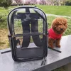 9 Couleurs De Luxe Pet Carrier Chiot Petit Chien Portefeuille Chat Designer Valise Sac À Bandoulière Étanche Premium PVC Transparent Transportant Sac À Main Pour Voyage En Plein Air Marche Rouge