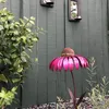 الوردي coneflower الطيور الطيور الببغاء حديقة الديكور birdhouses للخارج خمر الطيور الاكسسوارات déctory de jardin