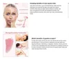 Natural Pink Crystal Jade Roller Double Head Massager Rose Quartz Rollerstone Facial Guasha Scraper Tool Set med Box 9869146
