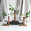 Vasos hidropônicos vaso de vidro de vidro de madeira moldura de decoração de decoração de casa recipiente de mesa de decoração