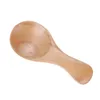 Small Wooden Spoon Ice Cream Salt Condiments Honey Teaspoon Seasoning Sugar Coffee Tea Spoon