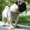 Komfort Mjuk Mesh Dogs Harness Leashes Set Justerbara Cat Vest Harnesses med reflekterande band för promenader Katter Små Doggy 4 Färg Partihandel Blå L B67